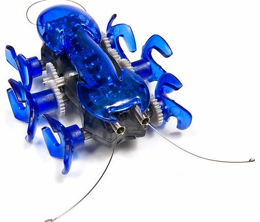 Hexbug Ant - Blue