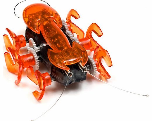 Hexbug Ant - Orange