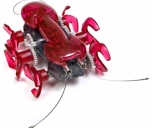 Hexbug Ant - Red