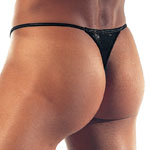 HOM by night string