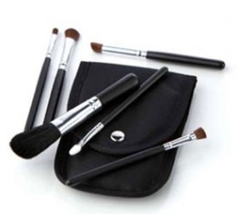 6 Piece Cosmetic Brush Set