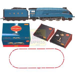 Live Steam Mallard Set