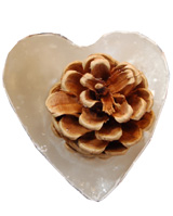 Hunter Gatherer 10 Heart Shaped Cinnamon Pine Cone Fire Lighters