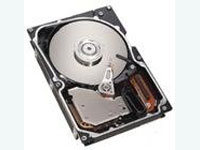 146GB 15K 3.5in 15K RPM HDD