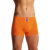 Iguana bamboo sports trunk