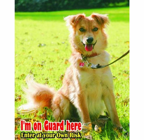 Attention - Beware / Fun Sign Dog Basque Shepherd Dog Dog for your home or house SF984 Size A4