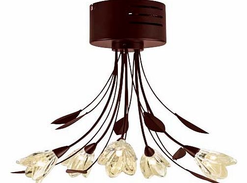 Mya Chocolate 5 Light Ceiling Fitting