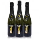 italyabroad Prosecco Sparkling - Case of 12