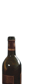 Bottle Stop Glass