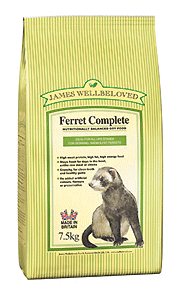 Ferret Food