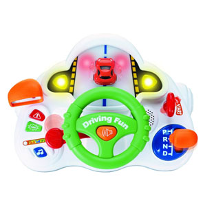 Driving Fun Wheel