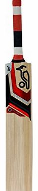  Cadejo Prodigy 60 Junior Cricket Bat, 3