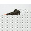 Korda Marker Float Kit