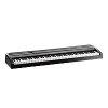 SP-170 Digital Piano (black)