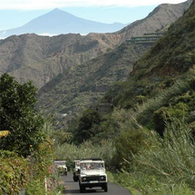 Open Top Jeep Safari - Child