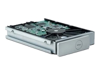 2big Quadra Spare Drive Server Hard Drive