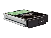 LACIE 4big/5big Spare Drive - hard drive - 1.5 TB - SATA-300