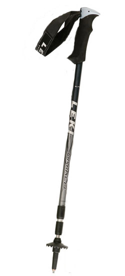 THERMOLITE WALKING POLE