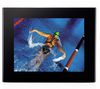 F1040N-PN 10.4` (26.41 cm) Digital Photo Frame -