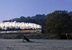 Luxury Steam Train Journey for Two