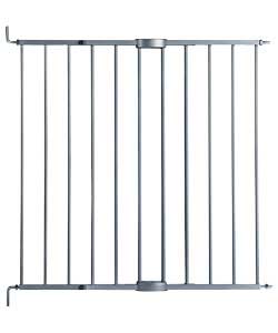 Extending Silver Metal Gate