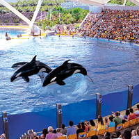 Loro Parque and Siam Park Twin Ticket