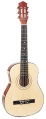 student guitar