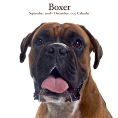 Boxers Wall Calendar: 2009