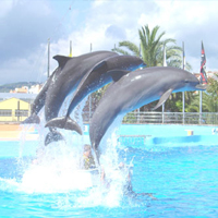 Marineland Catalunya