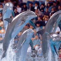 Marineland Catalunya