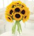 Sunflower Bouquet