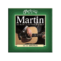 M170 80/20 Bronze Strings 010-047