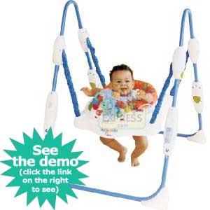 Fisher Price Babygear Deluxe Jumperoo