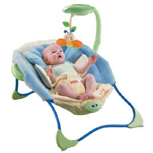 Fisher Price Blue Green Papasan Bouncer