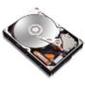 DiamondMax 22 500GB 7200RPM S300 32MB