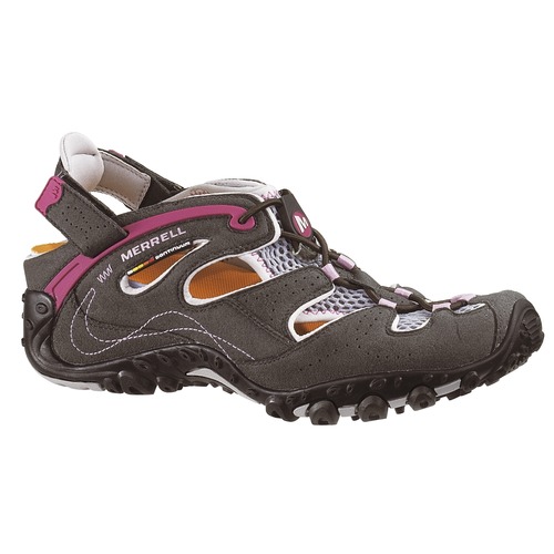 Womens Chameleon Arc Web Sport Sandals