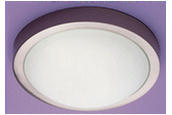 18662 / Ascot 2 Light Energy Saving Flush Luminaire