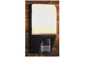 70290 / Bulkhead Wall Lamp with PIR