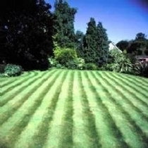 Dlf Perryfields Front Lawn-No Ryegrass 10Kg