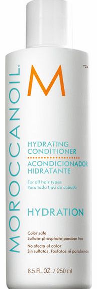 Hydrating Conditioner 250ml