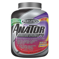 Anator-P70 - Berry Blast