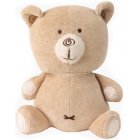 Natures Purest Hug Me Bear 8