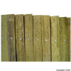 Bamboo Extending Trellis 900mm x 1.8Mtr