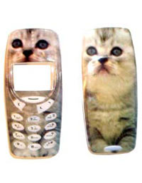 3310 White Cats Fascia