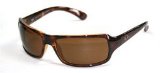 Ray Ban 4075 Sunglasses 642/57 HAVANA/ POLAR CRYSTAL BROWN 61/16 Medium