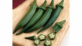 Okra Clemsons Spineless Seeds