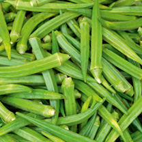 Okra Seeds - Clemsons Spineless