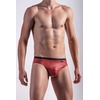 RED 1466 Bikini Brief