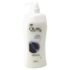 Body Cleansing - Bath Foam Body Protect 720ml