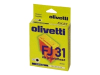 FJ31